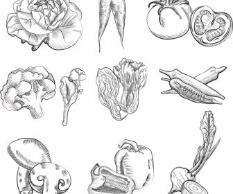 Culinary Ingredients Icons Handdrawn Vegetables Sketch