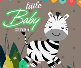 Cute Baby Zebra Drawing Colored Cartoon Design