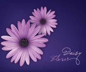 Daisy Flower Vector Graphic