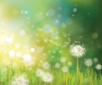 Dandelion And Green Nature Background Vector