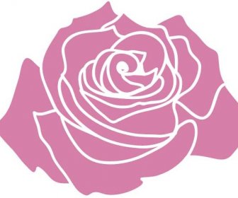 Rosa Rosa Escuro