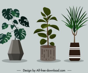 Decorated Houseplant Icons Colored Classical Design