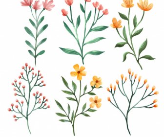 Decorative Botany Icons Bright Classical Handdrawn Design
