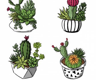 Decorativi Cactus Vasi Icone Classico 3d Schizzo Disegnato A Mano