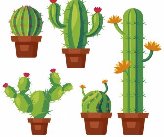 decorative cactus houseplants icons colored flat sketch