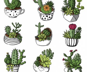 Decorative Cactus Pot Icons Classical Colorful Handdrawn Sketch