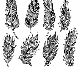 Decorative Feather Icons Retro Tribal Decor Handdrawn Sketch