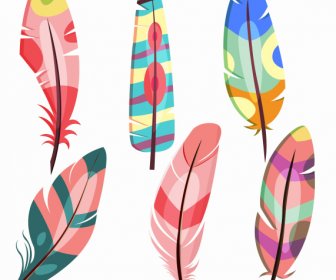 Decorative Feathers Icons Bright Colorful Handdrawn Sketch