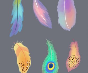 Decorative Feathers Icons Colorful Retro Handdrawn