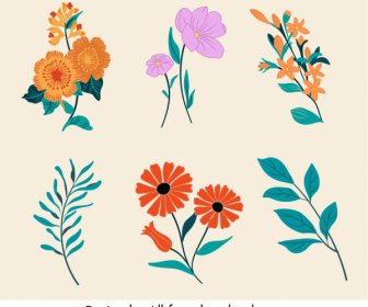 Decorative Floral Icons Colorful Elegant Classic Handdrawn