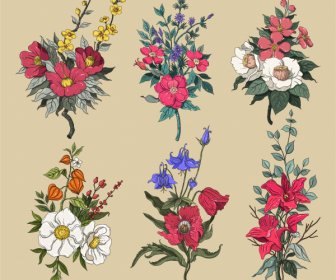 Decorative Flowers Icons Colorful Classic Design
