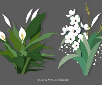 Decorative Flowers Icons Elegant Classical Design