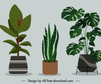 Decorative Houseplant Background Colored Flat Classic Sketch