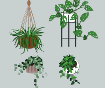 ícones De Plantas De Casa Decorativas Design Clássico