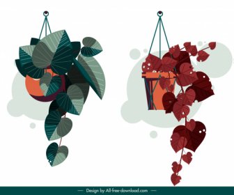 Decorative Houseplant Icons Hanging Design Colored Classic