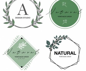 Plantillas De Logotipos Decorativos Formas Geométricas Planas Decoración De Plantas