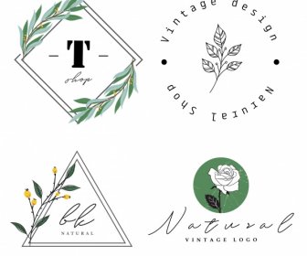 Logotipo Decorativo Plantas Desenhadas à Mão Esboçam Design Retrô Plano