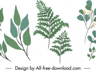 Decorative Nature Elements Classic Leaves Branches Sketch
