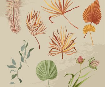 Decorative Nature Elements Retro Leaf Flowers Sketch