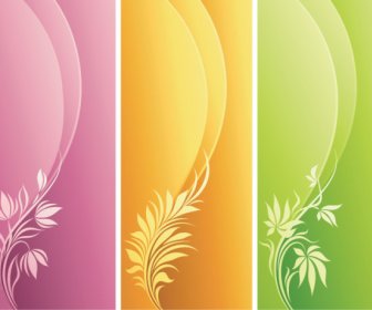 Decorative Pattern And Dynamic Background Design Elements
