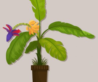 Decorative Plant Icon Banana Sketch Colored Classic Design