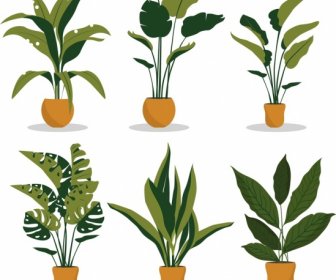 Decorative Plants Icons Collection Tree Leaf Pot Decor