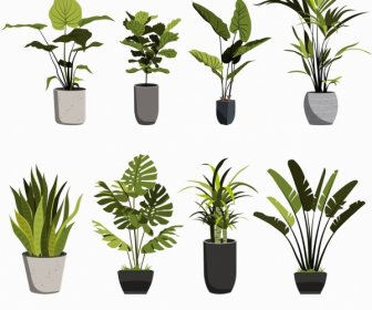 Decorative Plants Icons Green Leaf Porcelain Pots Sketch