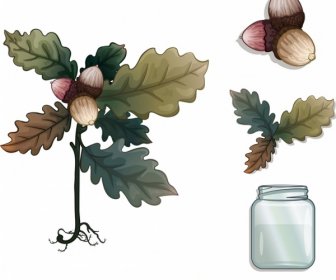 Decorative Plants Icons Leaf Chestnut Jar Sketch