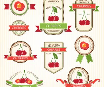 Delicate Fruits Labels Vector Set