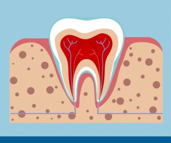 Dental Zahn Zahnfleisch Symbol Flach Schneiden Hintergrunddesign