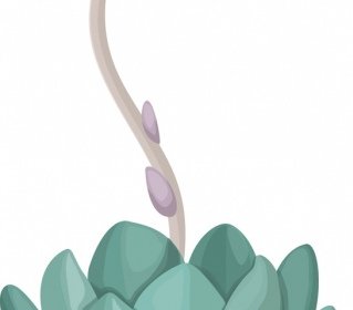 사막 식물 아이콘 다채로운 식물학 스케치