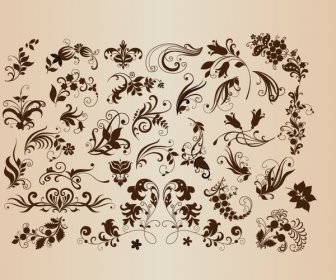 Design Floral Set Vektor-illustration