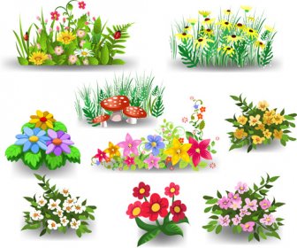 Verschiedene Schöne Blumen-design