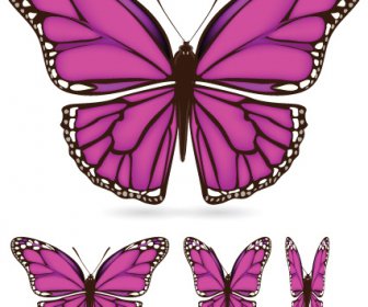別の色の蝶サンプル ベクトル