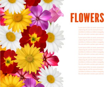 Different Colored Flower With Background Vector