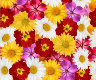 Verschiedene Blumen Musterdesign Kreative Vektor