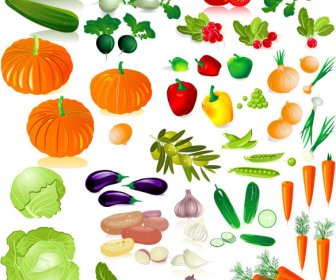 Different Fresh Vegetables Vector Graphics