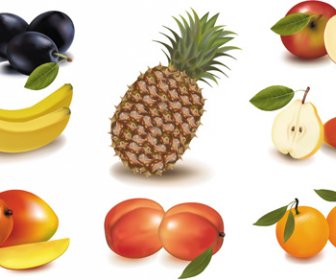 Conjunto De Vetores De Elementos De Diferentes Frutas