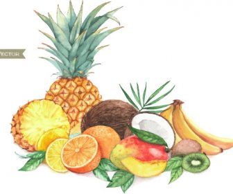 Different Fruits Watercolor Vectors Design
