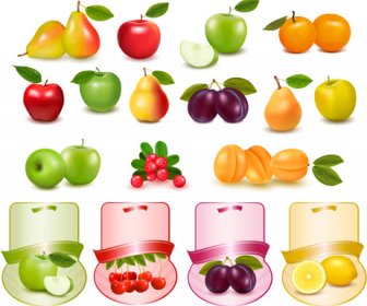 Verschiedene Früchte Mit Etiketten Vektoren