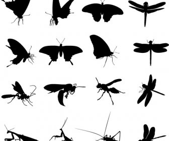 Vektor Kreatif Siluet Serangga Yang Berbeda