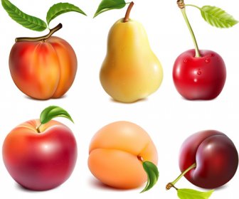 Verschiedene Saftige Frucht Vektoren