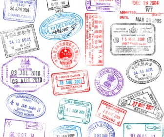 Passaporti Diversi Modelli Vector
