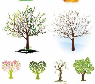 Berbagai Bentuk Pohon Desain Vektor