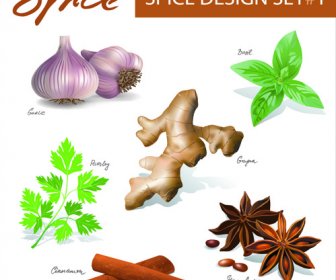 Different Spices Design Set Vector 2