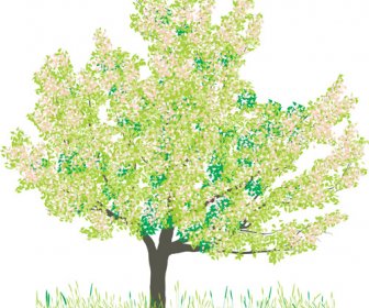 Musim Semi Berbeda Pohon Elemen Vektor