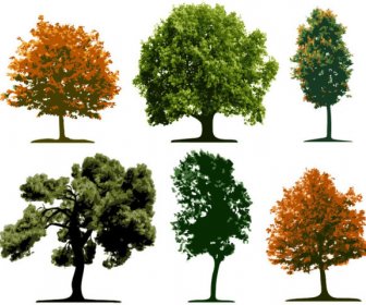 Farklı Ağaç Tasarım öğeleri Vektör