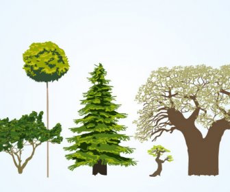 Berbagai Pohon Vektor
