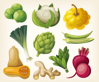 さまざまな野菜の光沢のあるデザインのベクトル