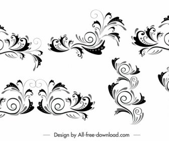 Document Decorative Elements Black White Classic Curves Sketch